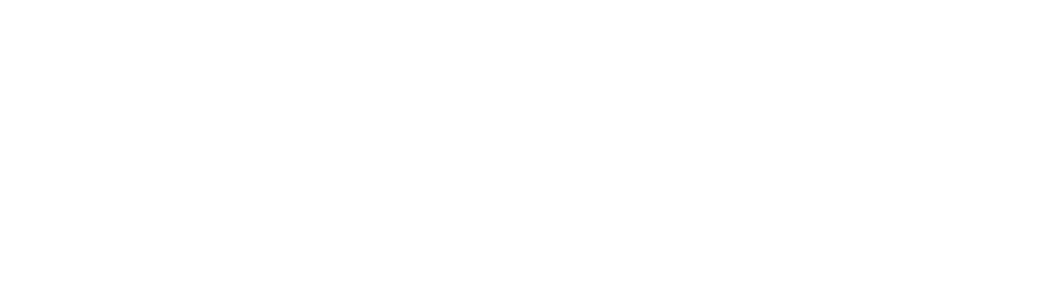 Operative Web